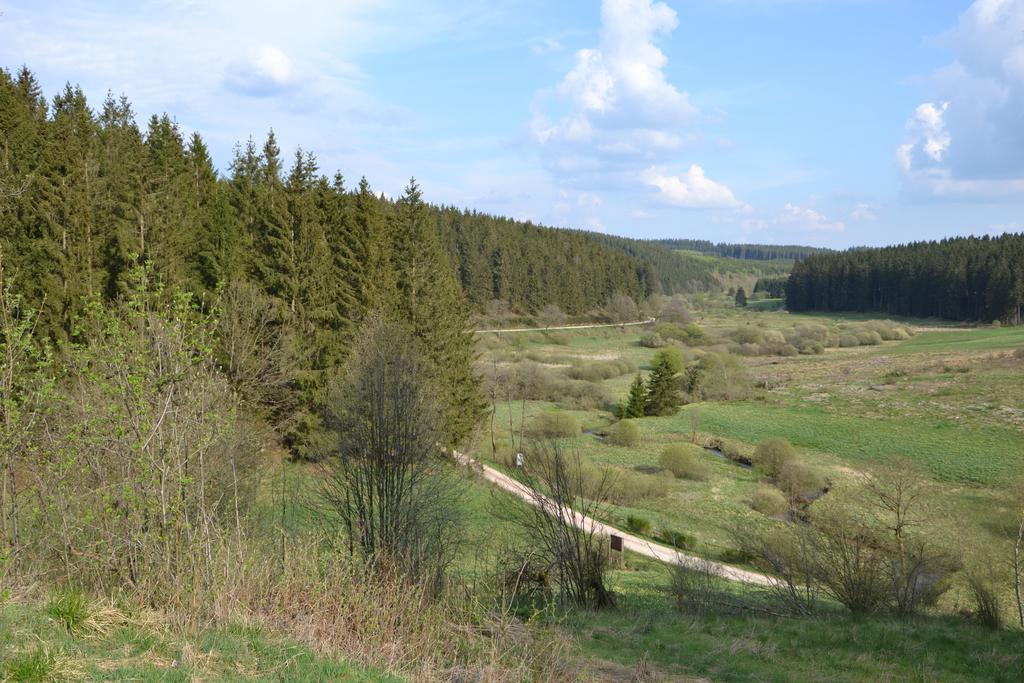 Fwv Chalet 2 Le Scandinave Bullange Zewnętrze zdjęcie