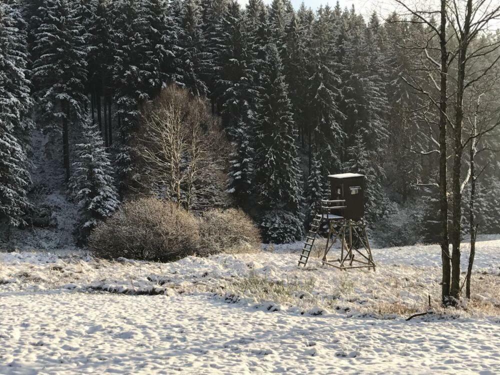 Fwv Chalet 2 Le Scandinave Bullange Zewnętrze zdjęcie