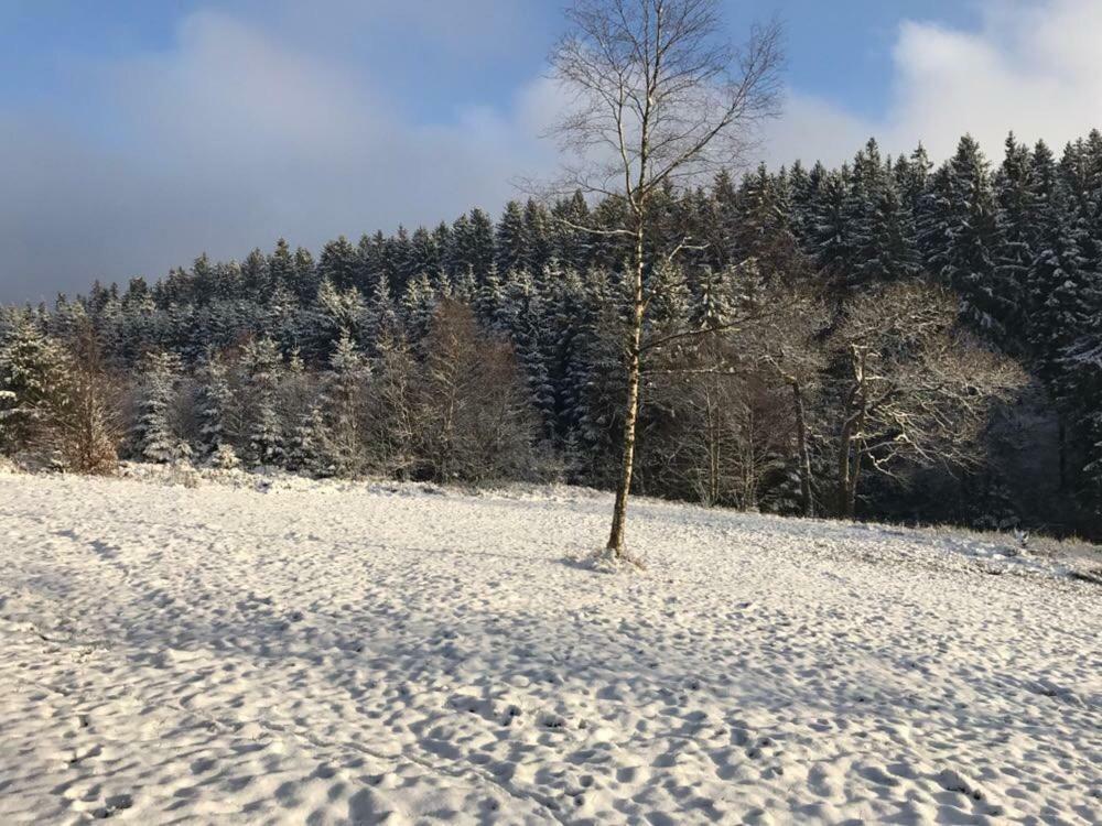 Fwv Chalet 2 Le Scandinave Bullange Zewnętrze zdjęcie