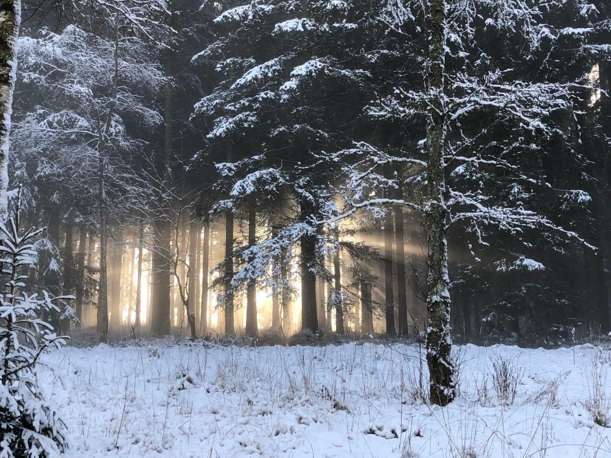 Fwv Chalet 2 Le Scandinave Bullange Zewnętrze zdjęcie